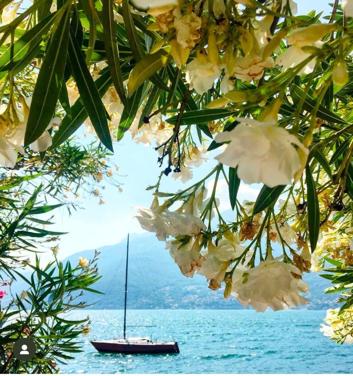 Casa Didi & Rosi - Lake Como Colico Exterior photo